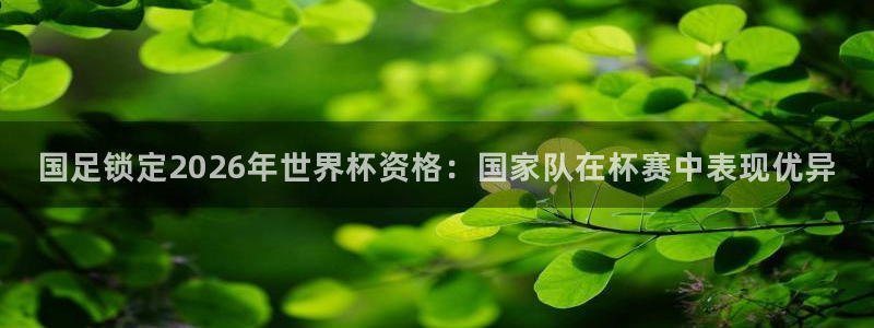 免费看足球直播比赛:国足锁定2026年世界杯资格:国家队在杯赛中表现优异