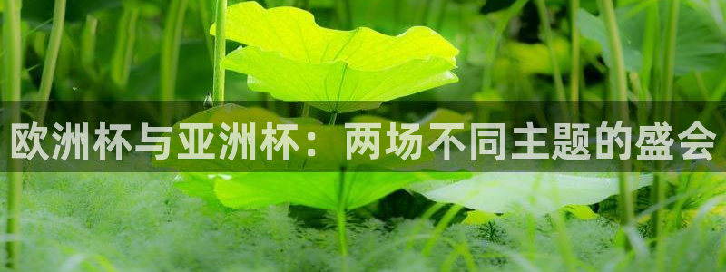 欧洲区世界杯预选赛:欧洲杯与亚洲杯:两场不同主题的盛会