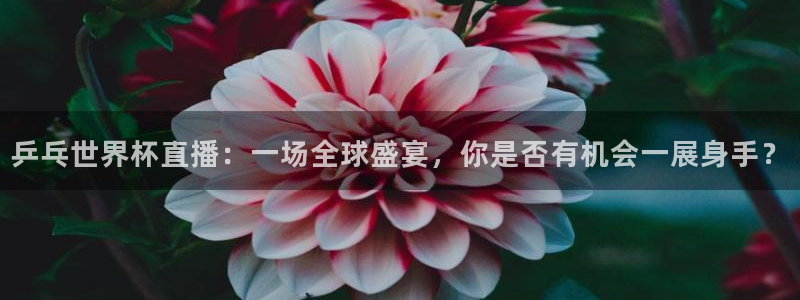2026足球世界杯赛程:乒乓世界杯直播:一场全球盛宴,你是否有机会一展身手?