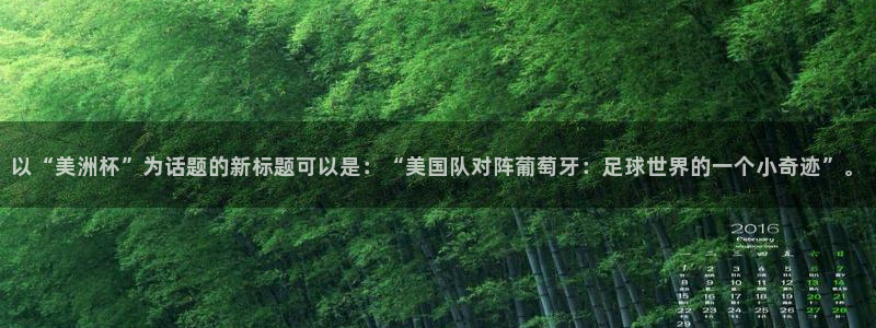2026年世界杯时间表:以“美洲杯”为话题的新标题可以是:“美国队对阵葡萄牙:足球世界的一个小奇迹”。